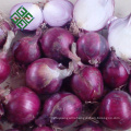 fresh red onions 25kg for sell